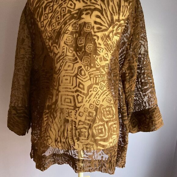 Sheer Brown Cutout Button Down Blouse 18W - Picture 3 of 5